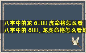 八字中的龙 🍀 虎命格怎么看「八字中的 🕸 龙虎命格怎么看好坏」